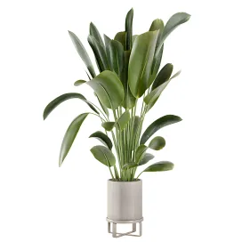 Indoor plants in ferm living bau pot large